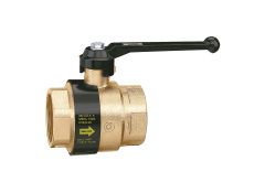Kogelkraan met keerklep 1-1/2"